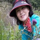 사나물농장 이미지