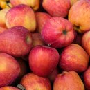 해안면힐링하우스 이미지