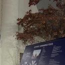 아쿠아로빅 | 임신 14주 잠실 올림픽수영장 아쿠아로빅 수강 후기 | 올림픽 자유수영