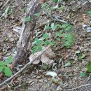 다빈농장 이미지