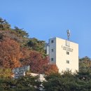 법주약국 이미지