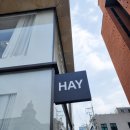 세일디자인 | HAY 강남 쇼룸 플로어 세일 다녀온 후기 | 최대 70% 할인 추천템과 아쉬운 점