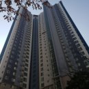 하늘달빛로 이미지