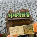 거제새둥지펜션 | 거제 식물원 정글돔 방문 후기 :) 새둥지 포토존 거제도 여행 일정