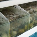 조개일번지 이미지