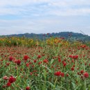 연천삼곶리돌무지무덤 이미지