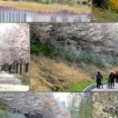 양평1동-4 이미지