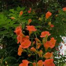 씨웨스트(주) 이미지