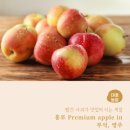 대호농장 이미지