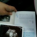 알메디파크 이미지