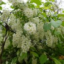 문산 사거리 이미지