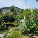 기흥호수공원(뚝방) 이미지