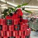 신세계를 위하여 | 대구 신세계 팝업 2월 설날 디저트도 이곳에서 준비하세요