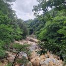 산청지리산힐링센터