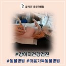 마음가득동물병원 | 강아지 건강검진의 중요성, 마음가득 동물병원에서 체크하는 꿍이