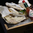 고흥 계절 맛집 이미지