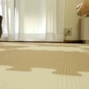 부엉이 PC방 이미지