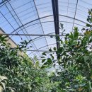 시은이네 농장 이미지