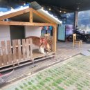 멍뭉워시 이미지