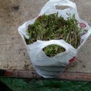 별이네농장 이미지