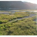 문곡리 상정바위 등산로 입구 | [어천지맥] 마무리... 문곡리-상정바위산-&lt;마치- 정선양때목장- 철미산- 어천 조양강 합수점&gt;