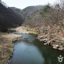 울주 천전리 각석 이미지