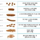 색깔