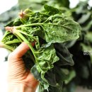 산촌농장(2) 이미지