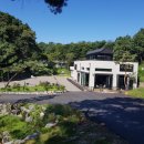 일산애견 이미지