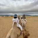 스타트레블 | 몽골 패키지여행, 4박 5일 중부 투어 후기 비용 준비물 고비스타트래블