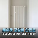 고양이 안전, 이제 세이펫 방묘문으로 걱정 끝! 우리 냥이 탈출 방지 솔직 후기