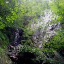 숲과계곡속으로 이미지