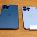 블루테라 이미지