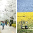 서울의 봄 네이버블로그
