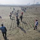 한전인천사업본부 | 한전인천본부, 소래습지 염생식물 종자파종 활동