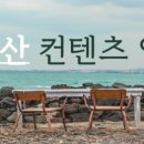 달에사는고래