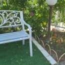 숲속의 돌담 이미지