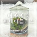 [예쁠란따 가드닝] 성내동테라리움 원데이클래스 후기(이끼 테라리움)