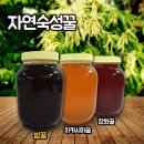 농장직영벌꿀 화분 로얄제리(특가할인)) 꽃벵이판매 이미지
