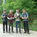 금북정맥 8구간. 갈길은 먼데 날은 덥고 다리 힘은 점점 빠지고... 이미지