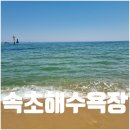 해변 | 속초해수욕장 주차장 대관람차 가격 바다 해변 후기