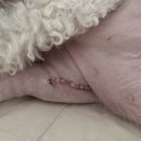 리브동물의료센터 이미지