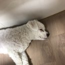 형제식육점 - 제천시 풍양로 108 | 형제식육점