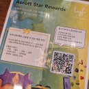 230042 | 후쿠오카신상호텔 가성비 lyf 텐진 후쿠오카 숙소 추천