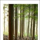 금곡 2주차장 화장실 이미지