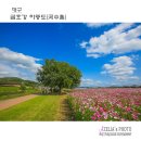 금호강1 이미지