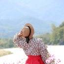 동창천 이미지