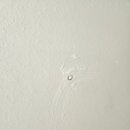 금강페인트 이미지