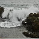 파도노래 이미지