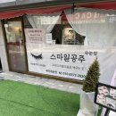 [교대역] 스마일공주속눈썹 속눈썹펌 후기
